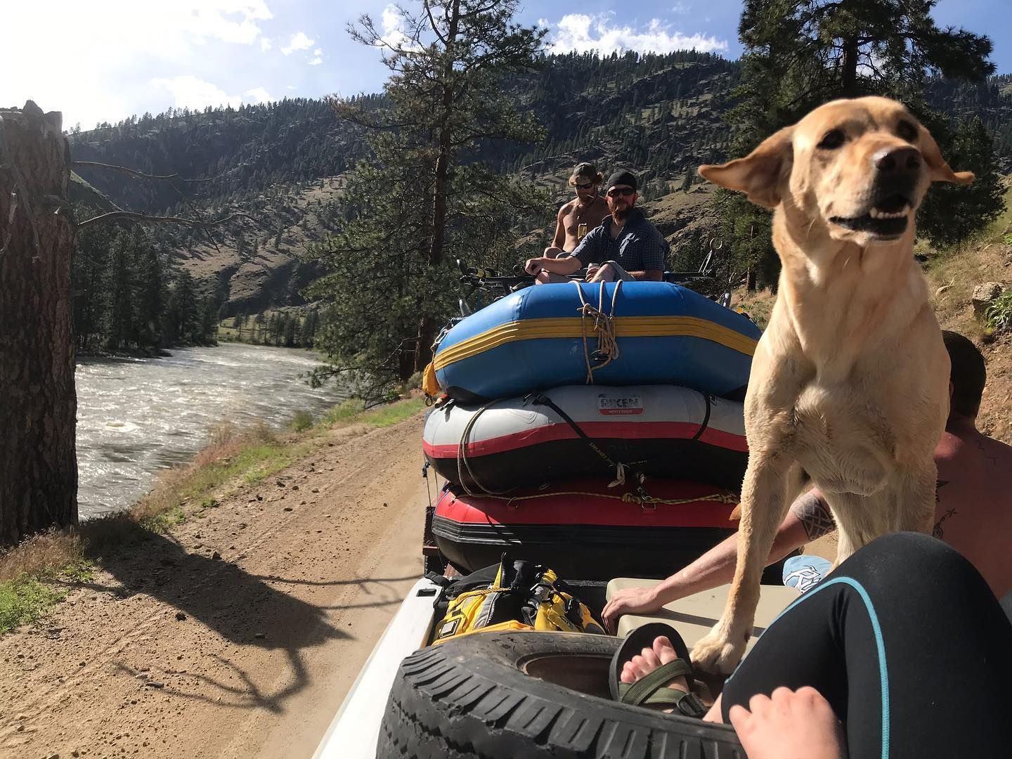 North Fork Guides Gallery Image