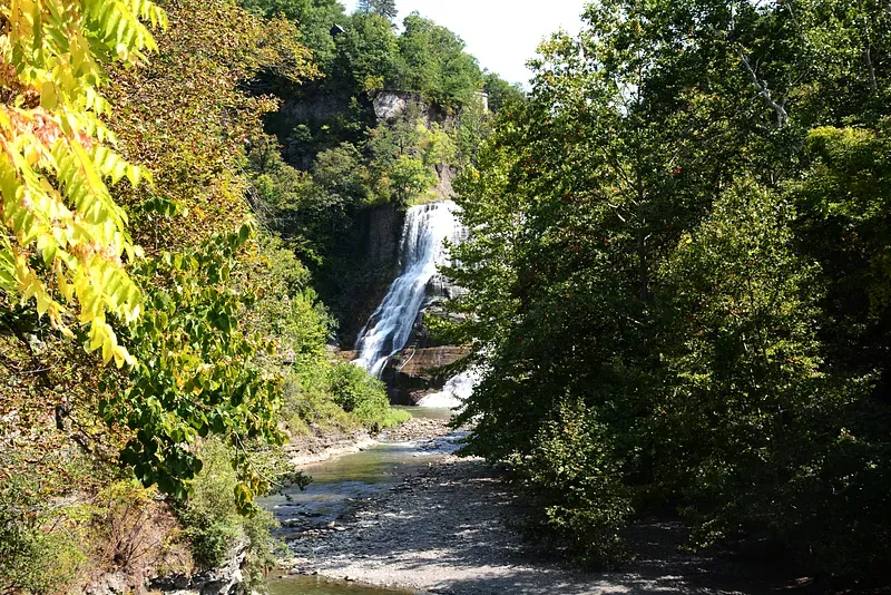 Waterfall cascading into a river, surrounded by trees with fall foliage.