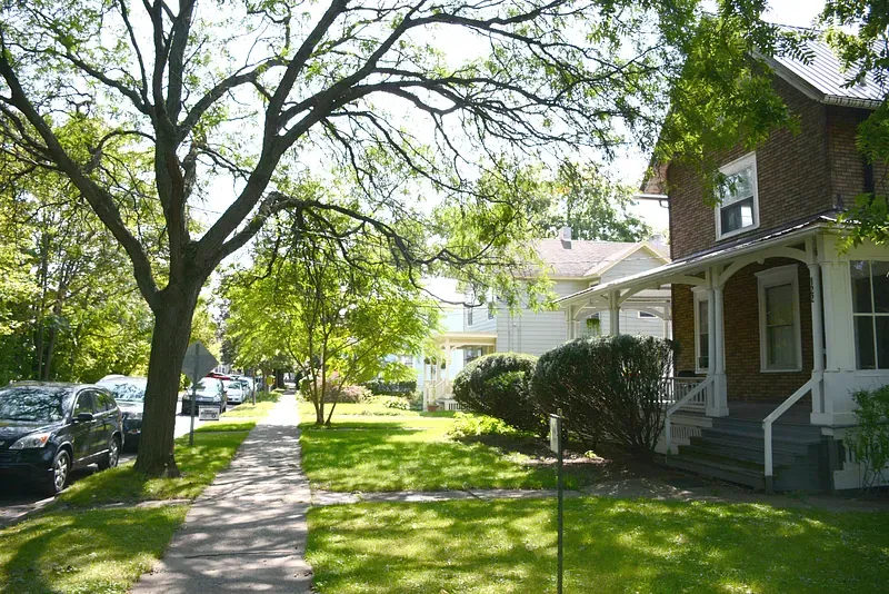 Street view with houses, sidewalk, parked cars, and large trees on a sunny day.