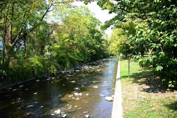 Stream with rocky bed flanked by trees and a concrete walkway. Bright, sunny day.