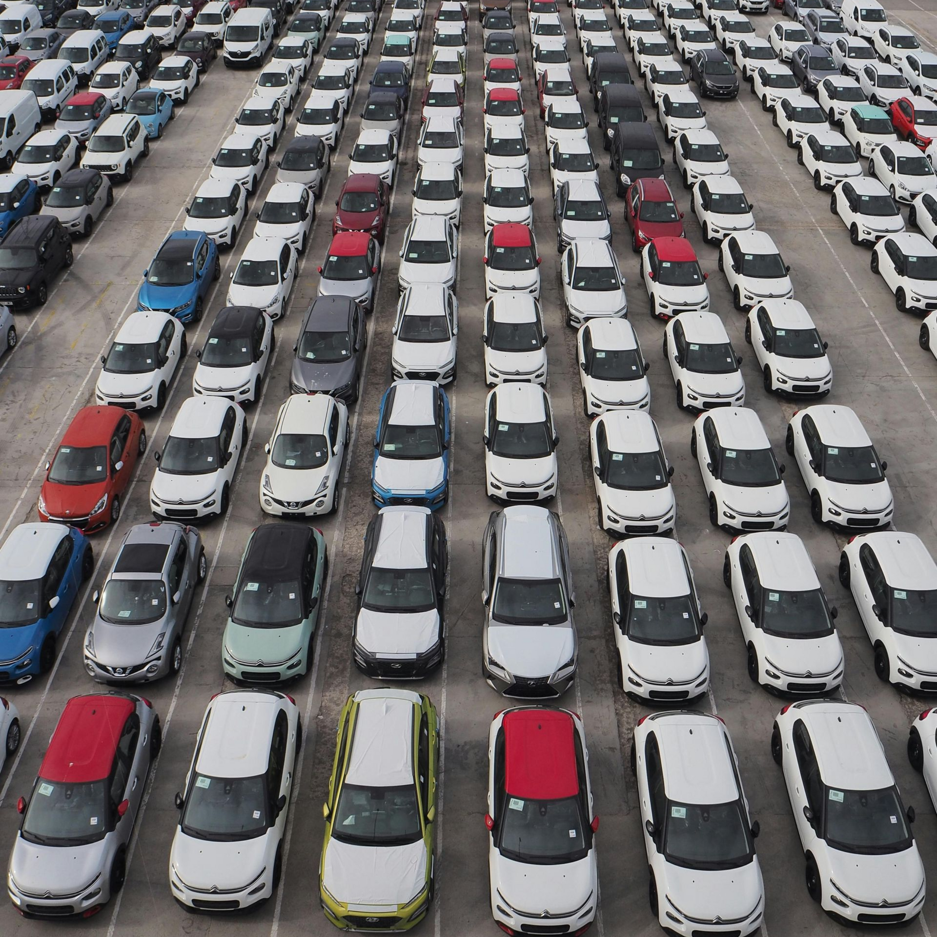 A row of vans are parked in a parking lot at night.