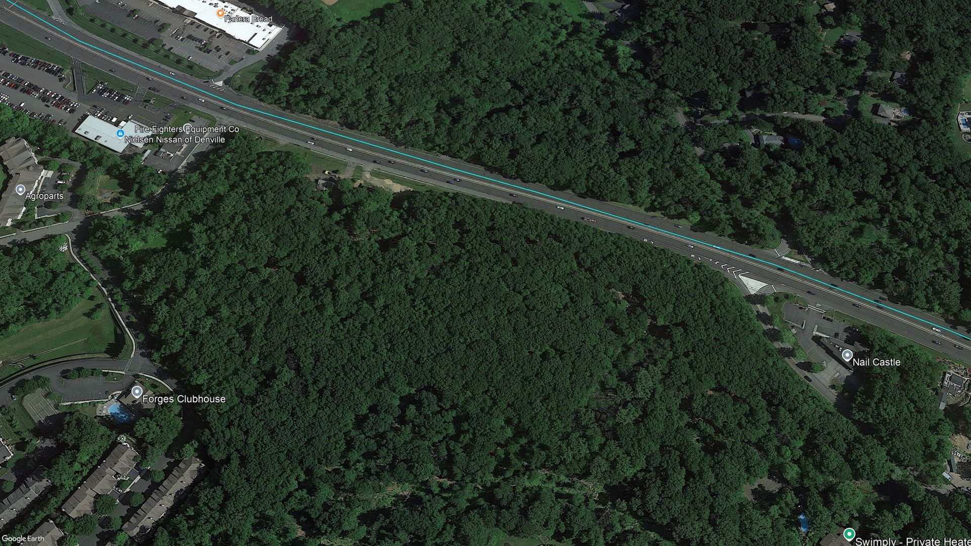 June 2022 satellite imagery showing dozens of acres of mature forest in the area of the controversial Mason Ridge development