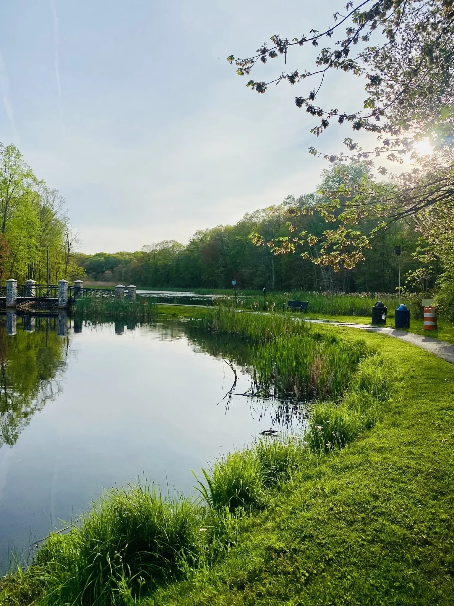 Tranquil waterside path at Muriel Hepner Park with morning light filtering through spring trees.