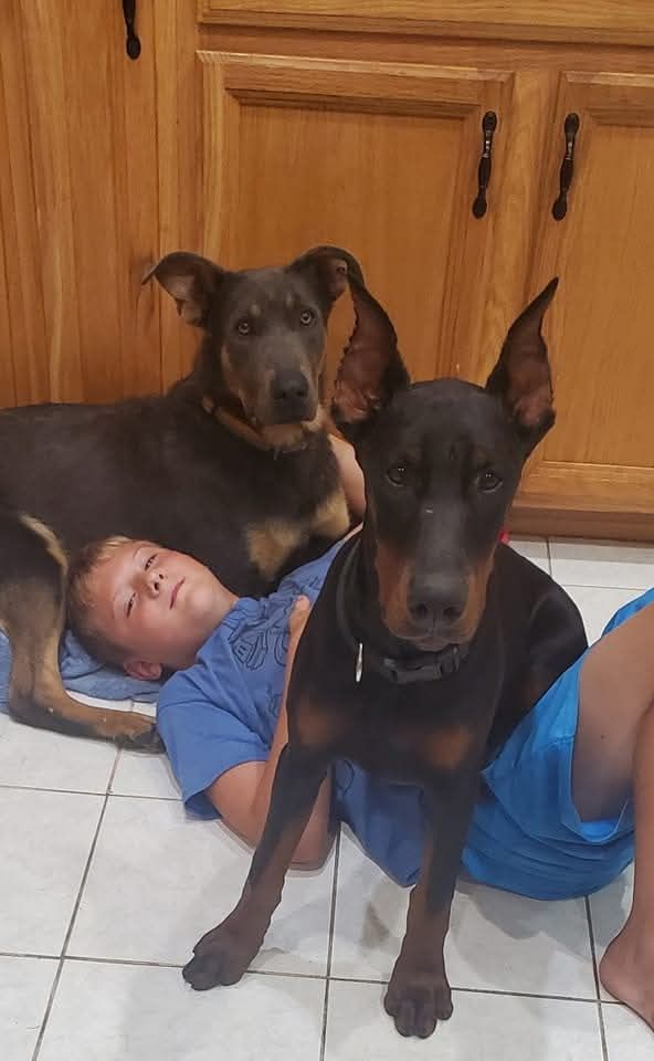 Kristen, Service Writer