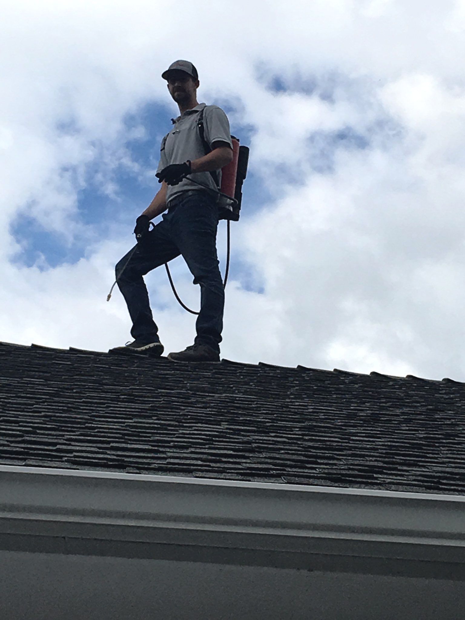 A pest control man is standing on top of a roof.