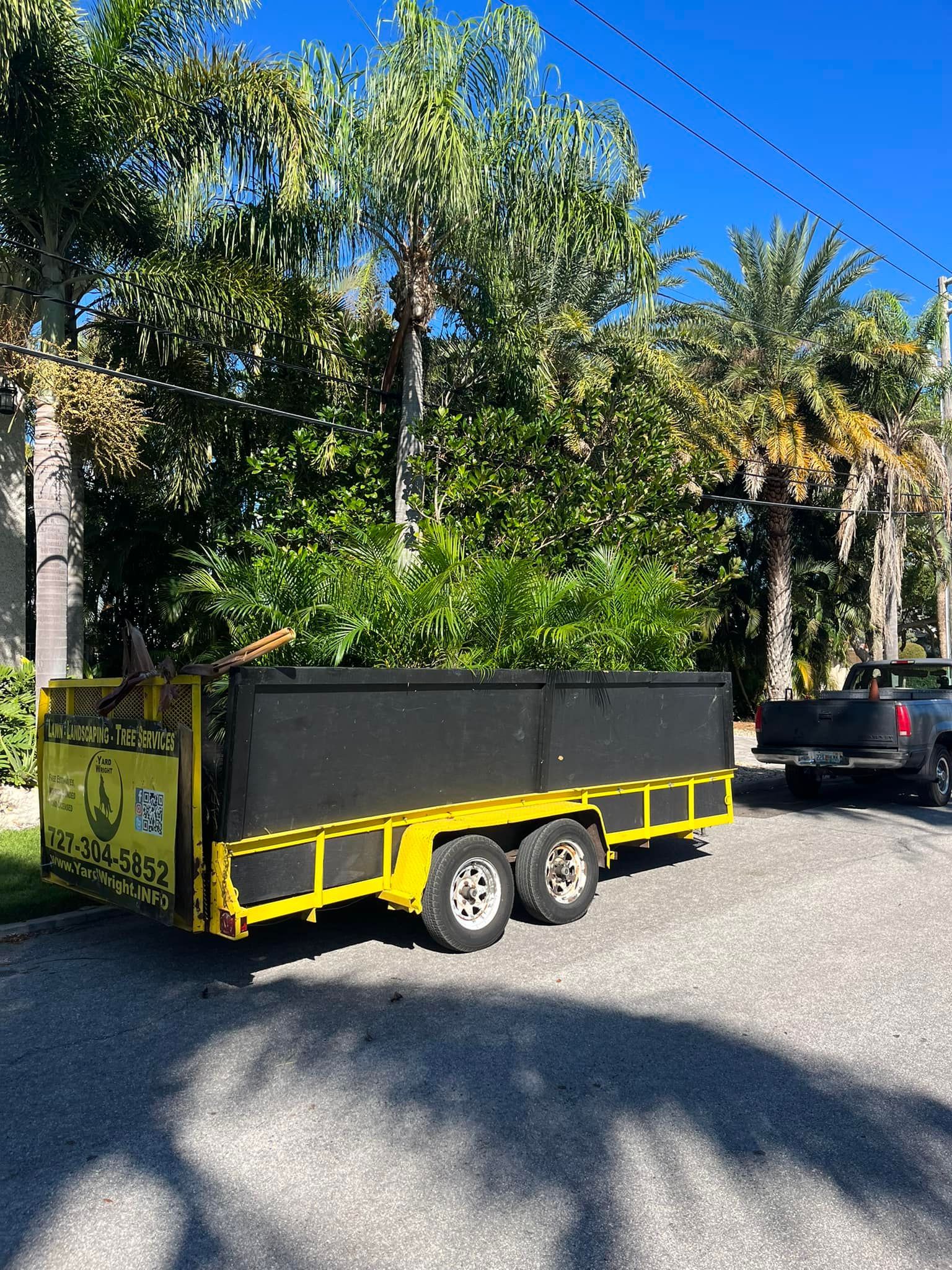 A black and yellow dump trailer loaded with yard waste parked on a gravel driveway in front of palm trees.