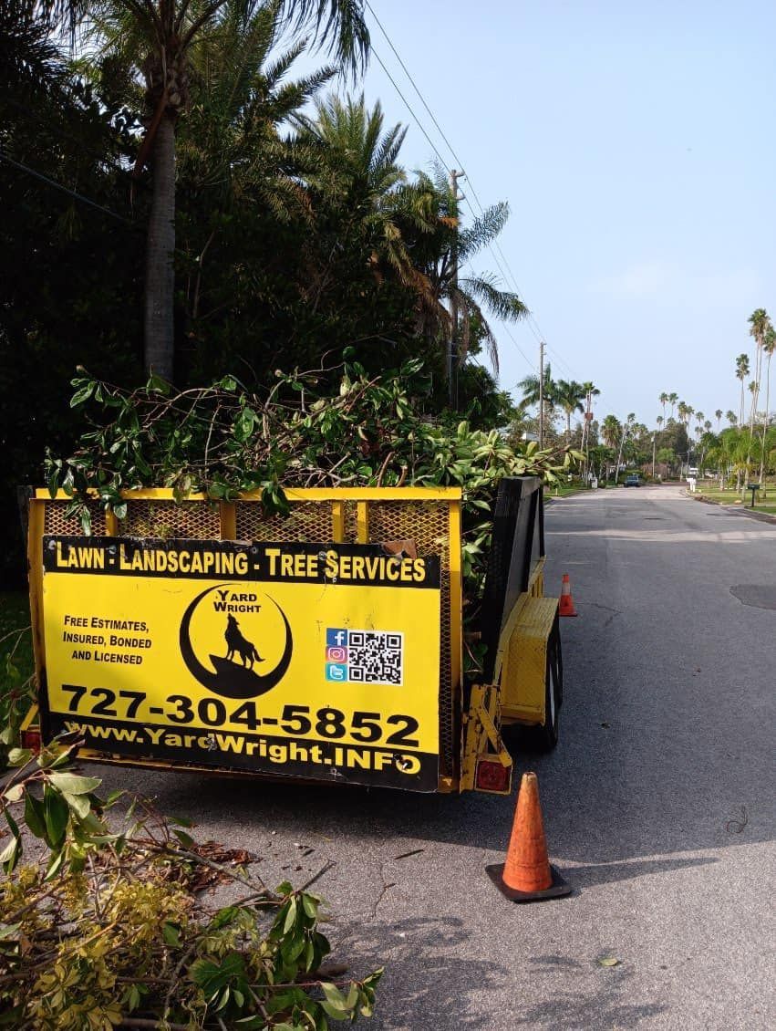 Yellow landscaping trailer filled with tree trimmings parked on a residential road next to an orange traffic cone.