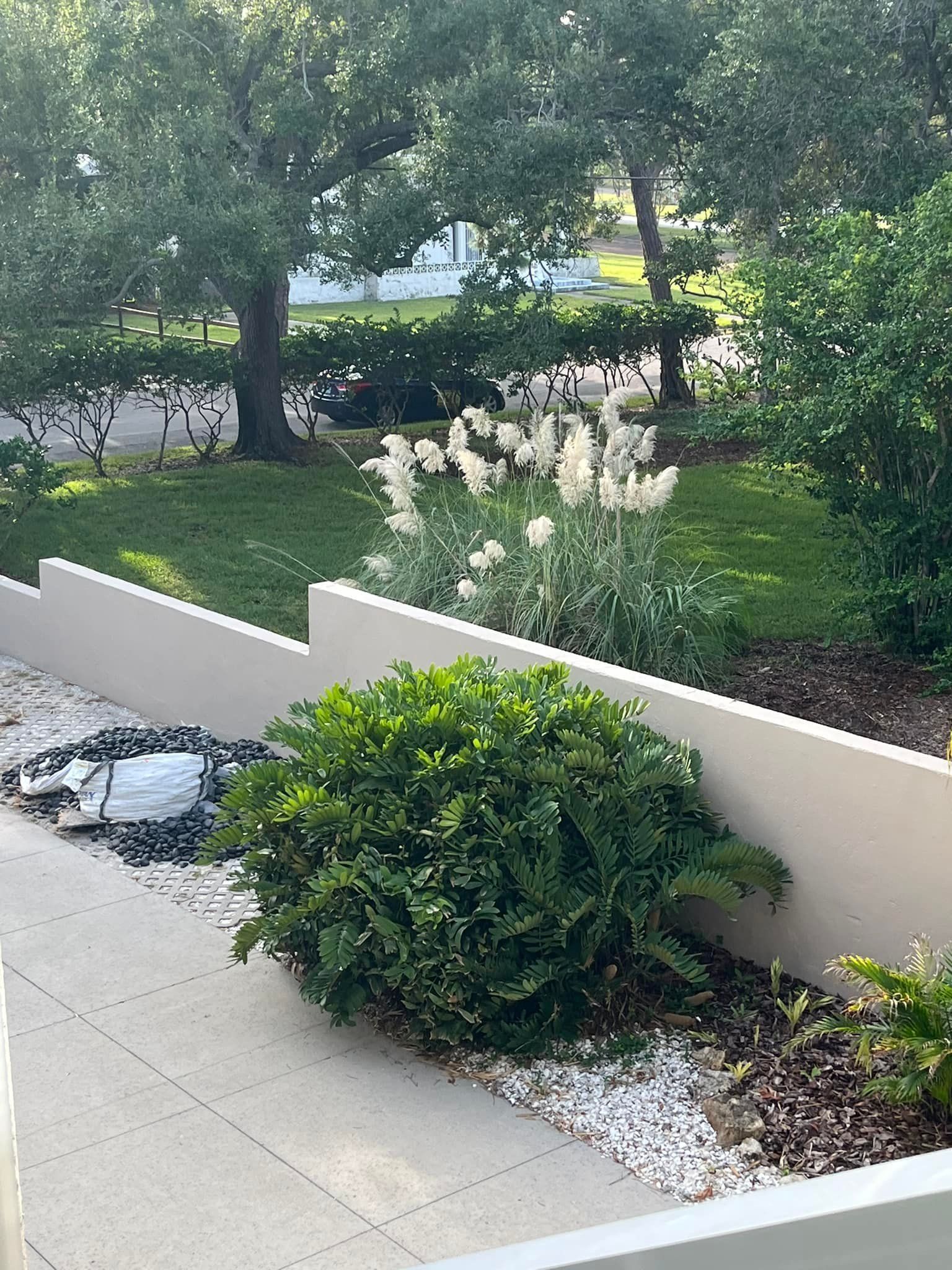 A garden bed with a lush green shrub and white-flowered plants, enclosed by a low concrete wall next to a paved walkway.