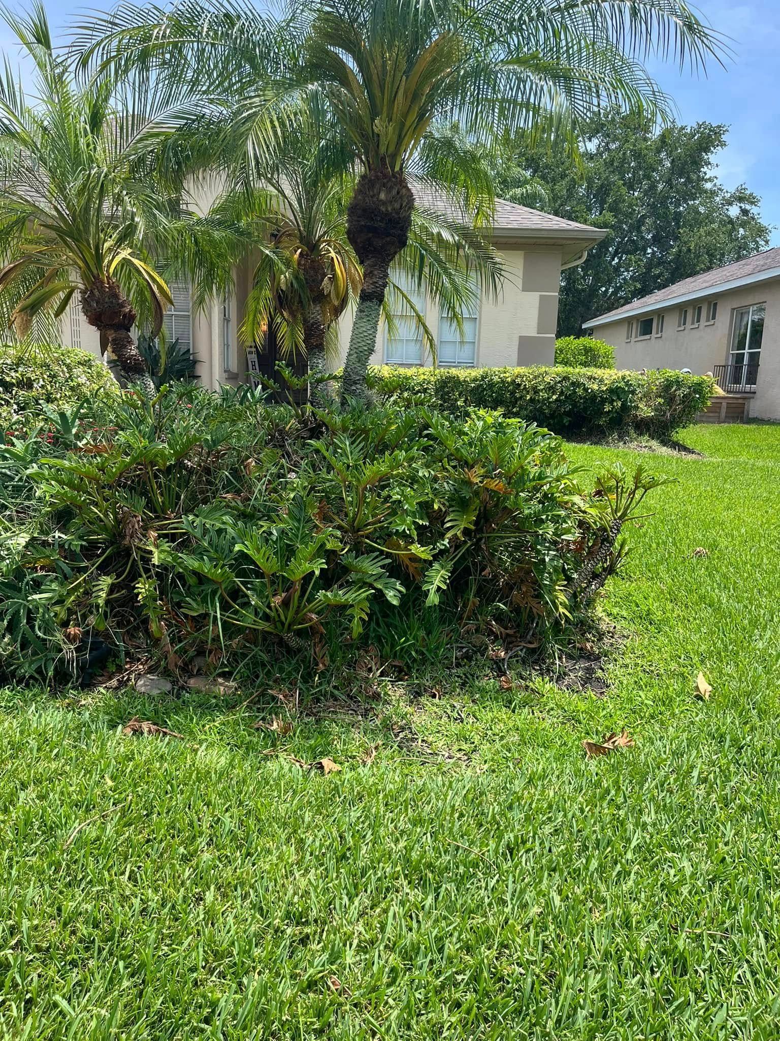 A residential house with a tan exterior, palm trees, and manicured green bushes in the front yard under a clear blue sky.