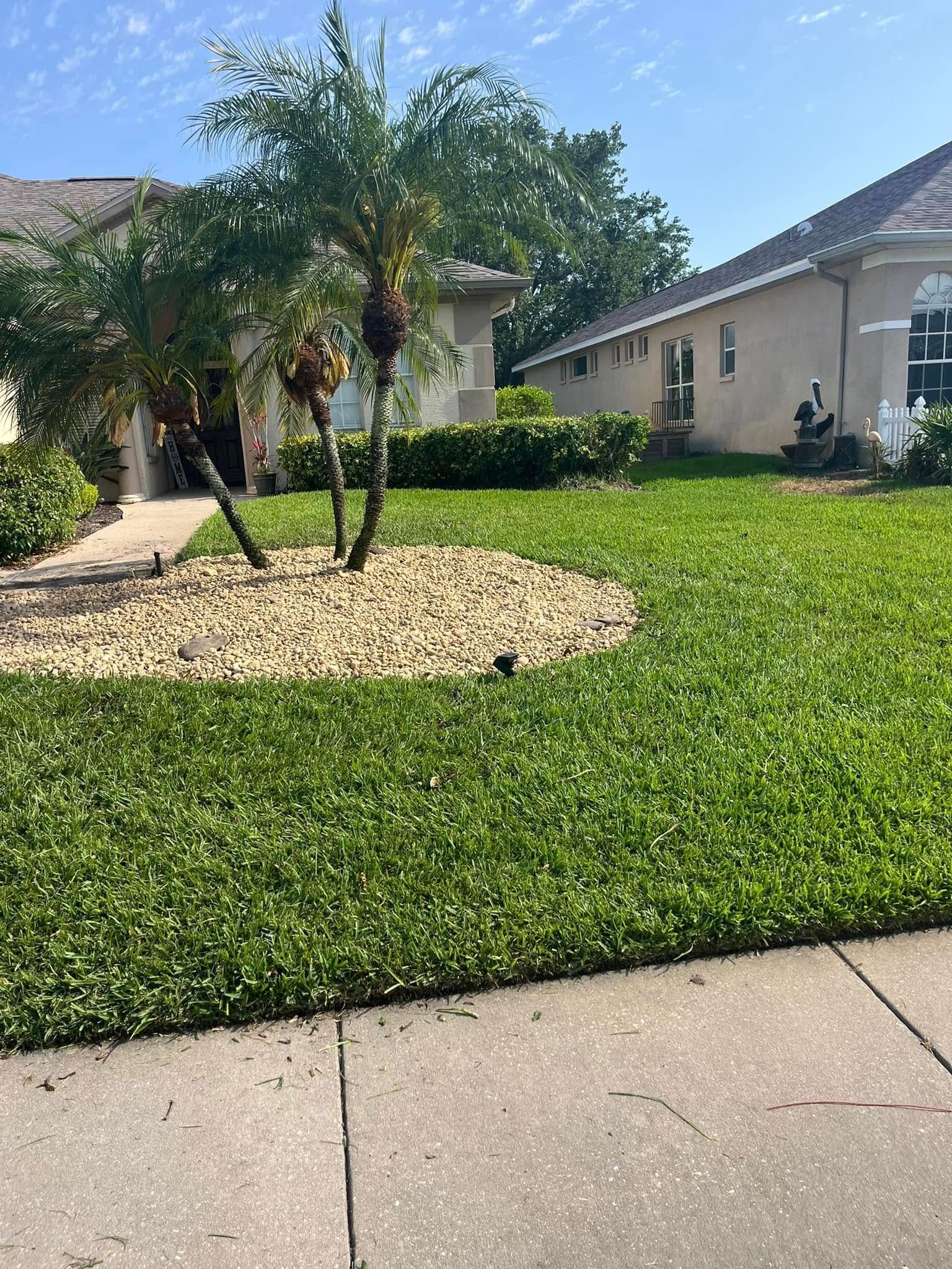 A suburban front yard with a palm tree, a stone landscaping circle, and a green lawn under a clear blue sky.