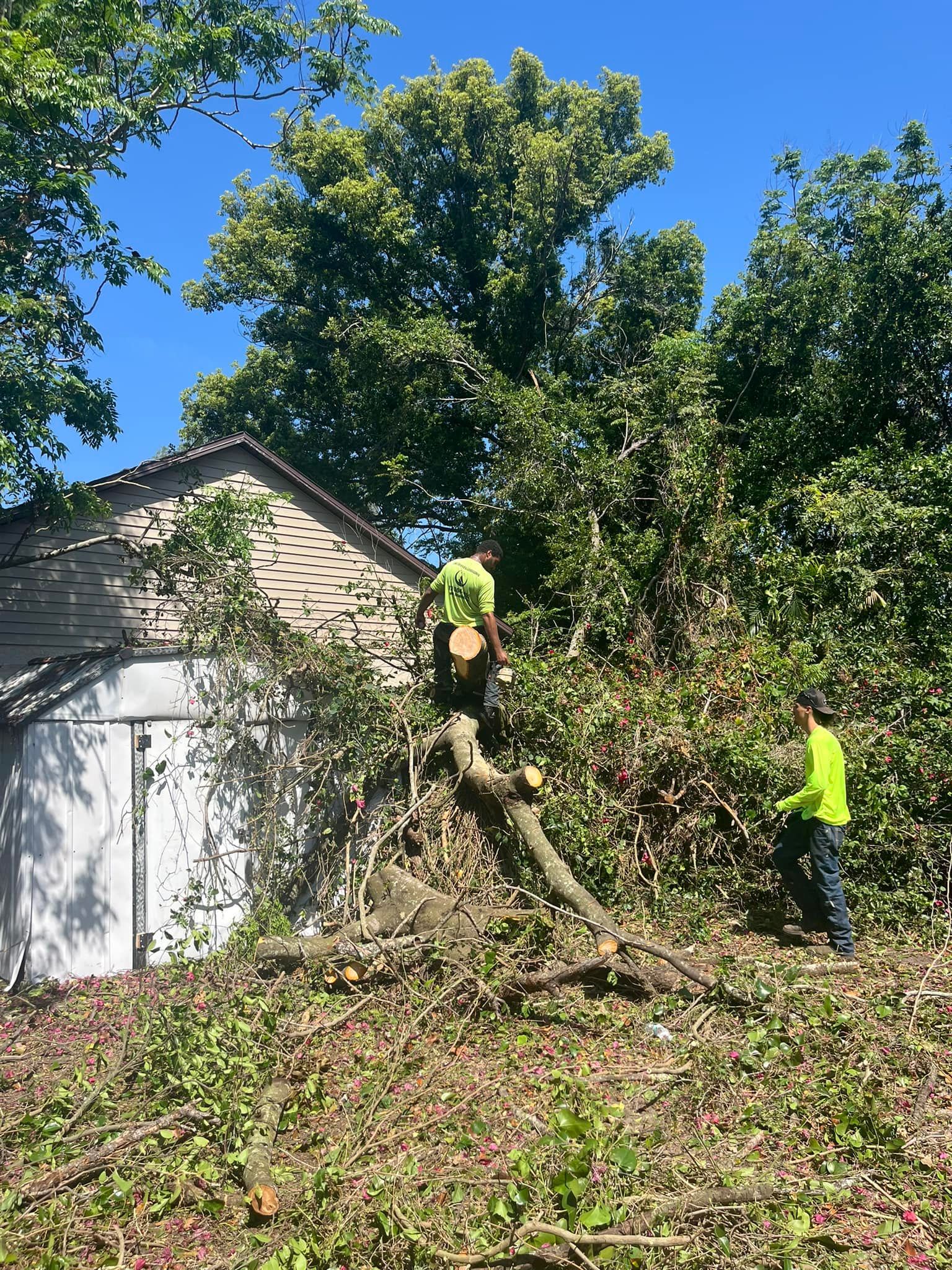 Two workers in neon yellow safety shirts clear tree branches near the roof of a white building on a sunny day.
