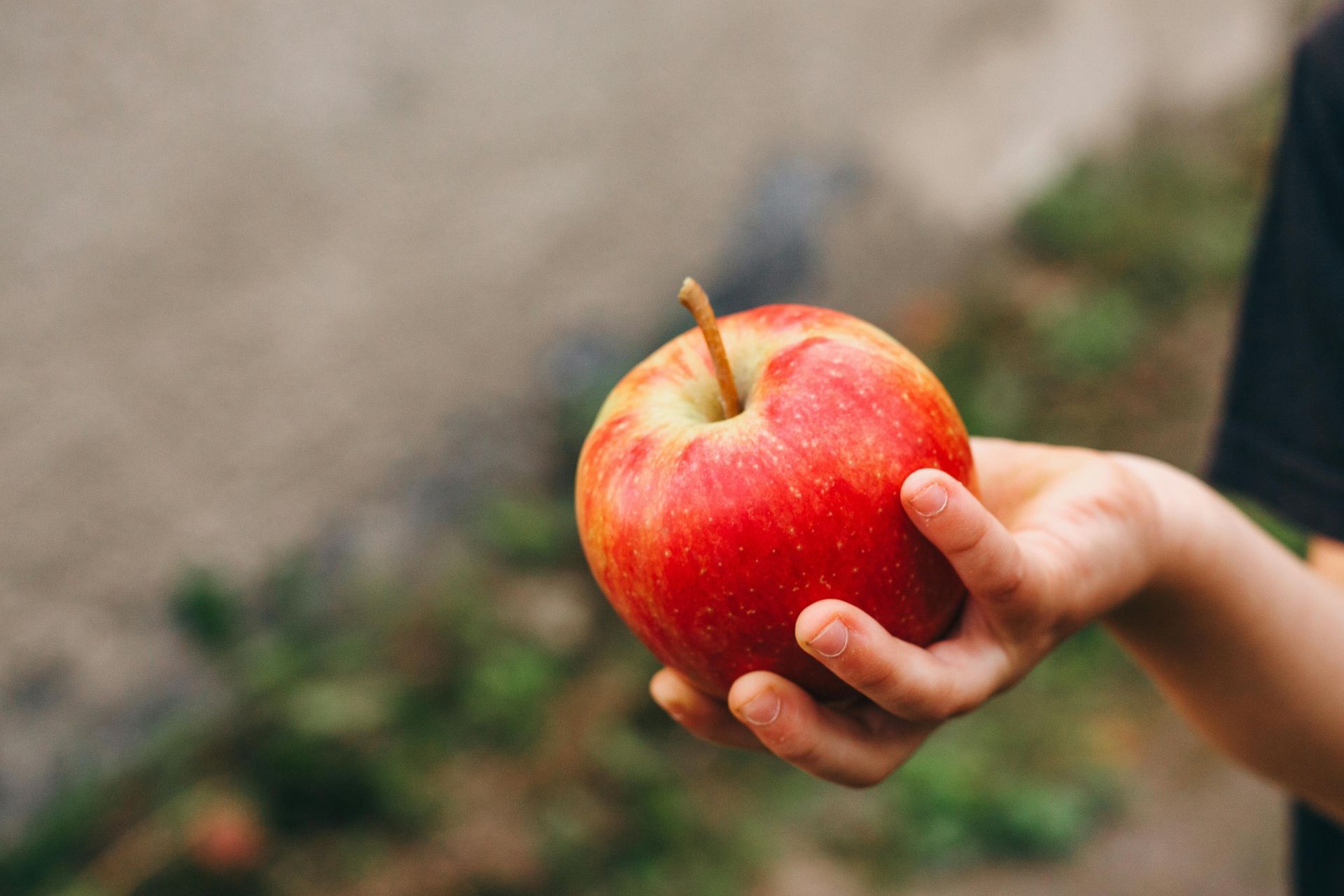  A child holding an apple. 