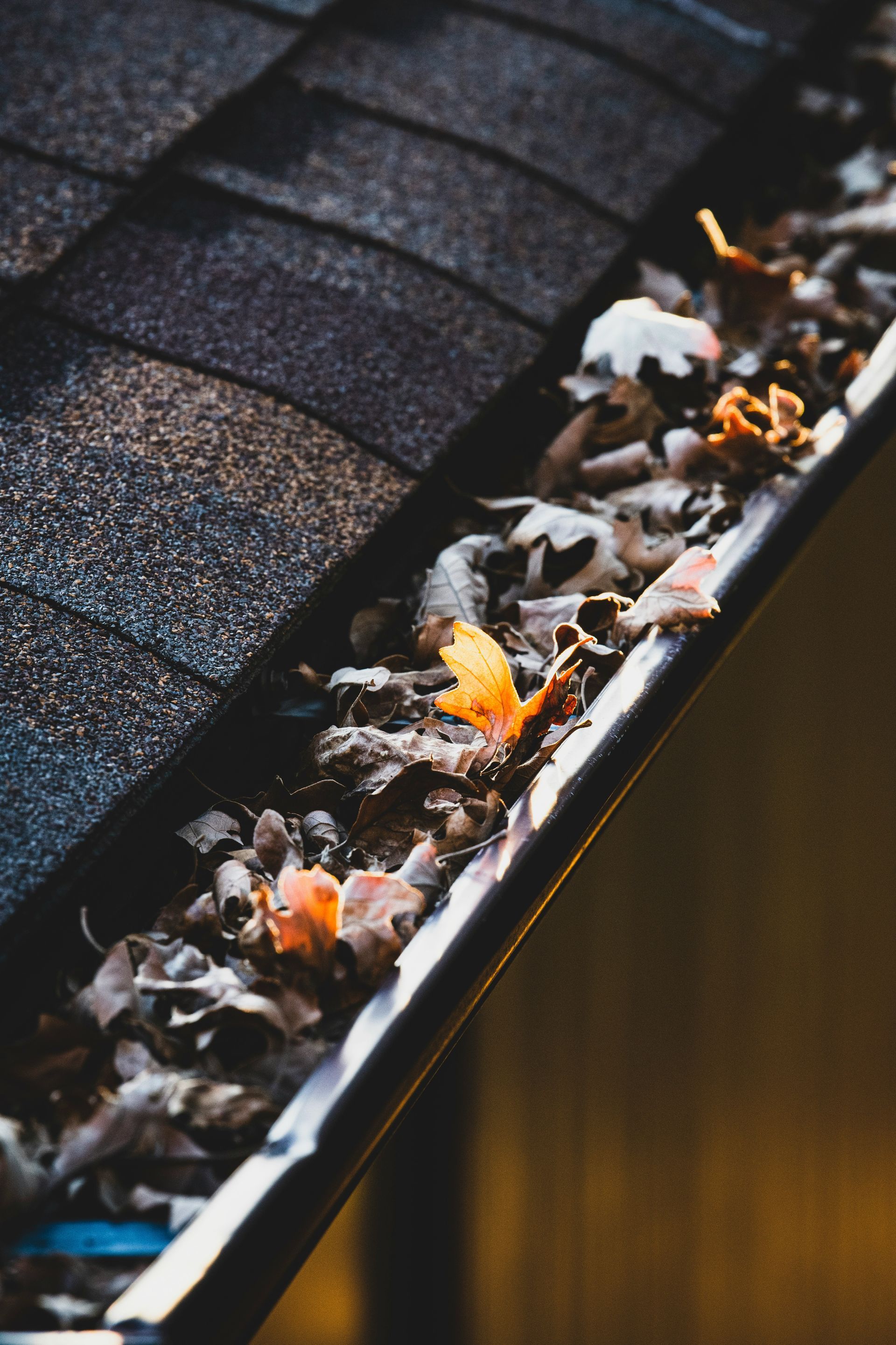 Gutter filled with fallen leaves and debris along the edge of a roof.