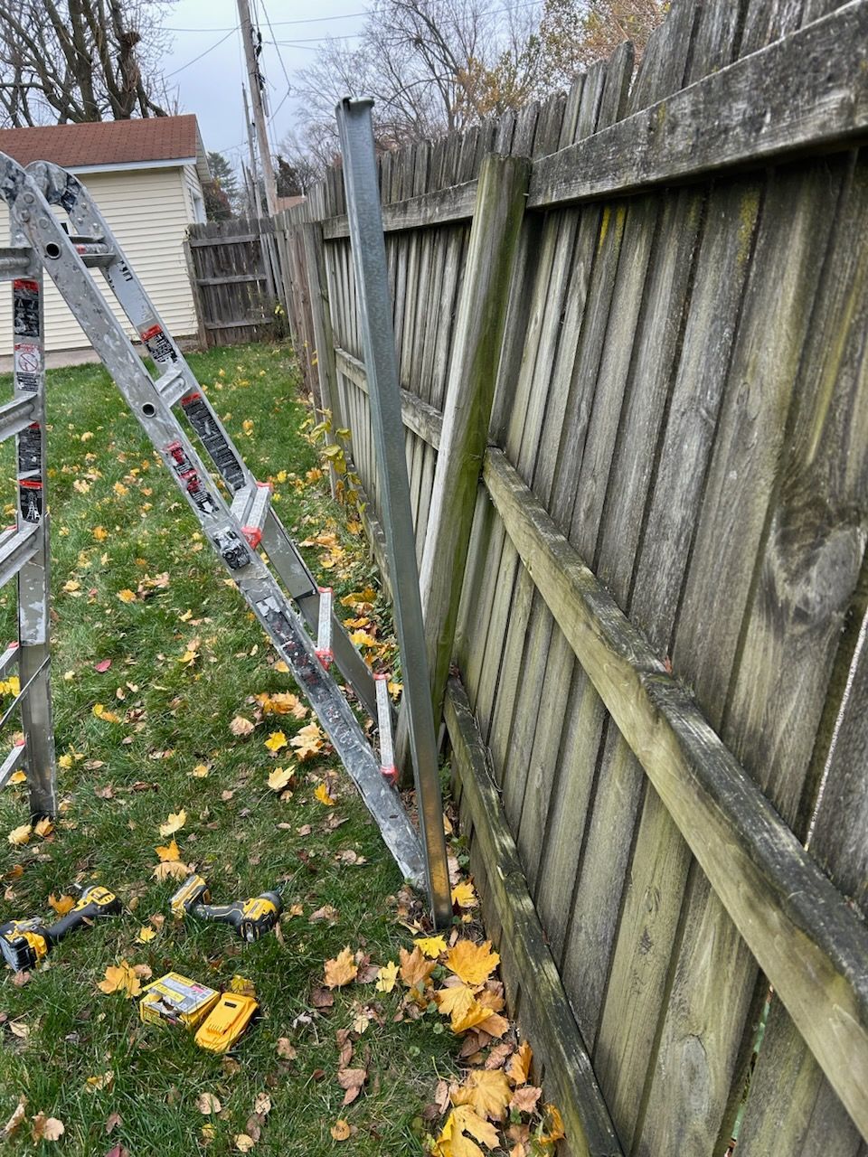 A ladder is leaning against a wooden fence in a yard.