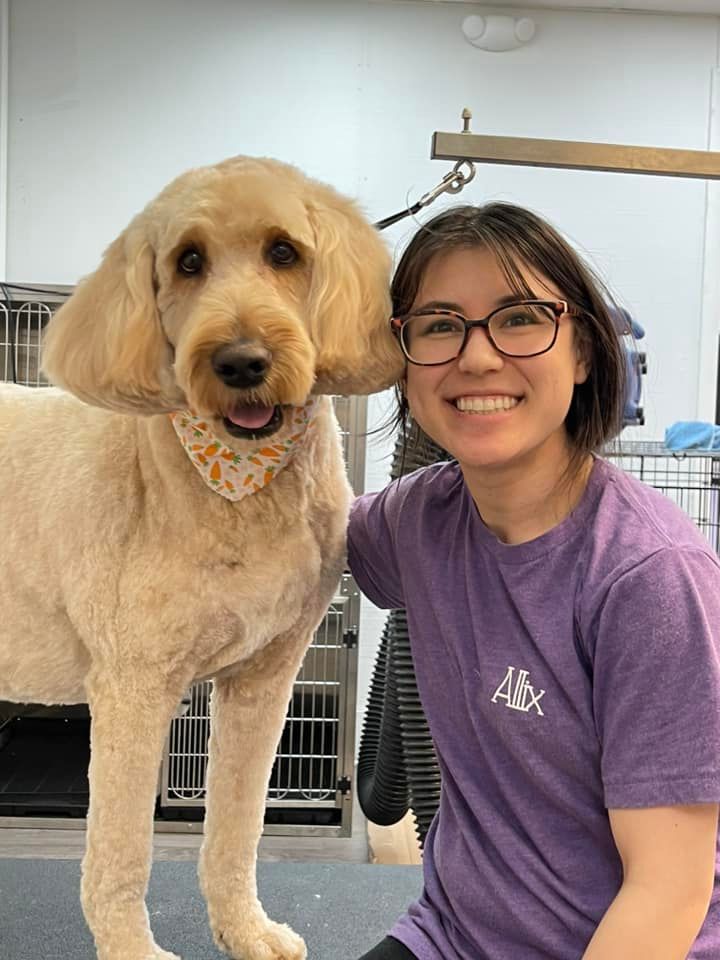 A woman in a purple shirt is standing next to a dog.