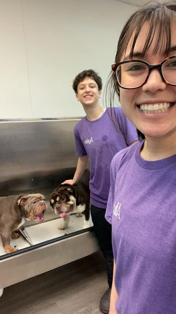 A woman in a purple shirt is taking a selfie with a man and two dogs.