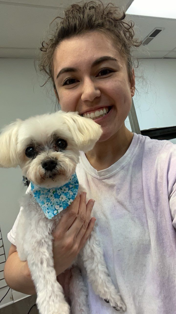 A woman is holding a small white dog in her arms.