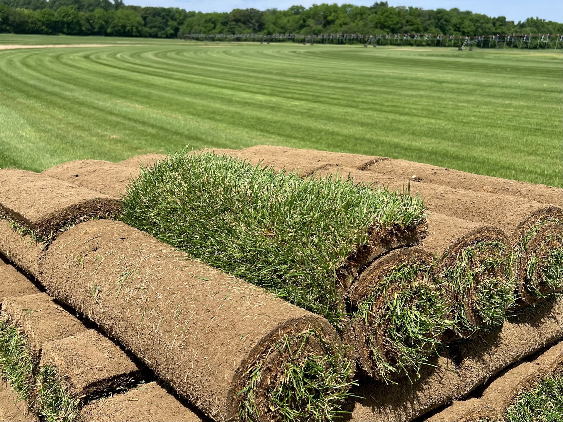 Sod Installation