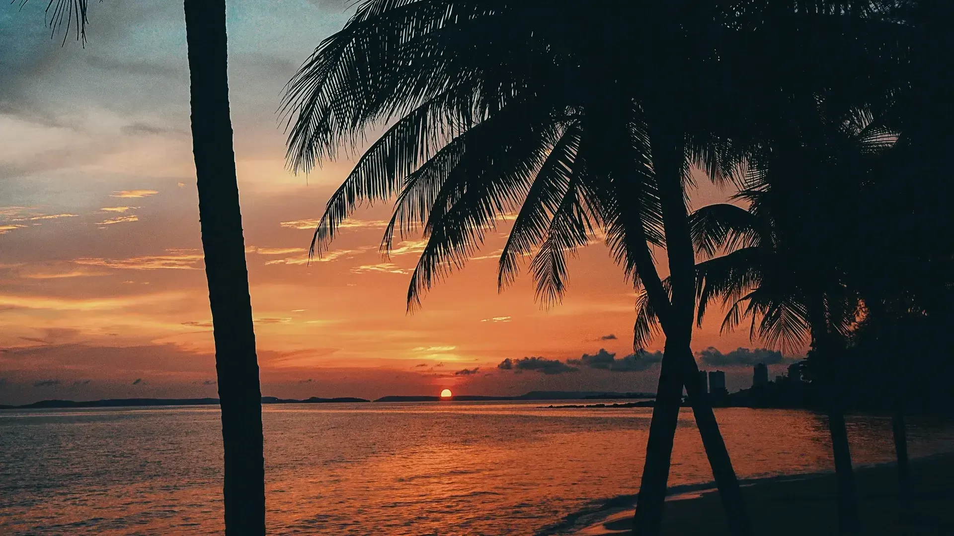 um pôr do sol sobre o oceano com palmeiras em primeiro plano