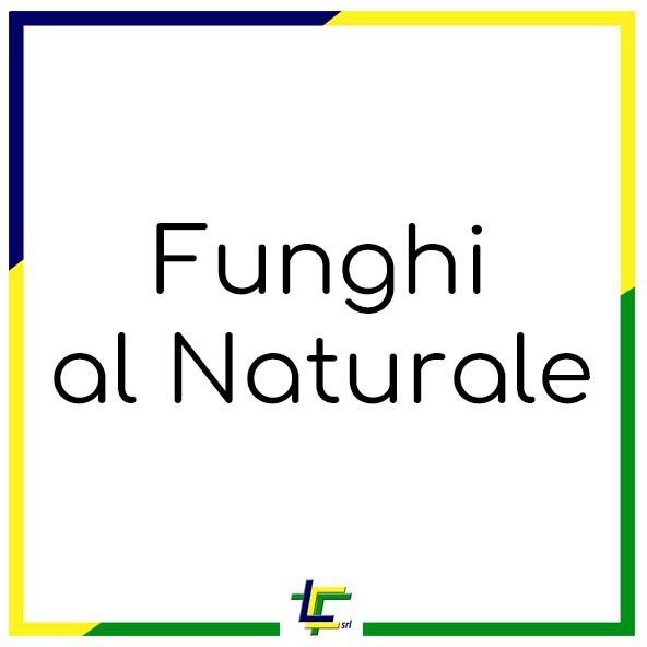 FUNGHI AL NATURALE