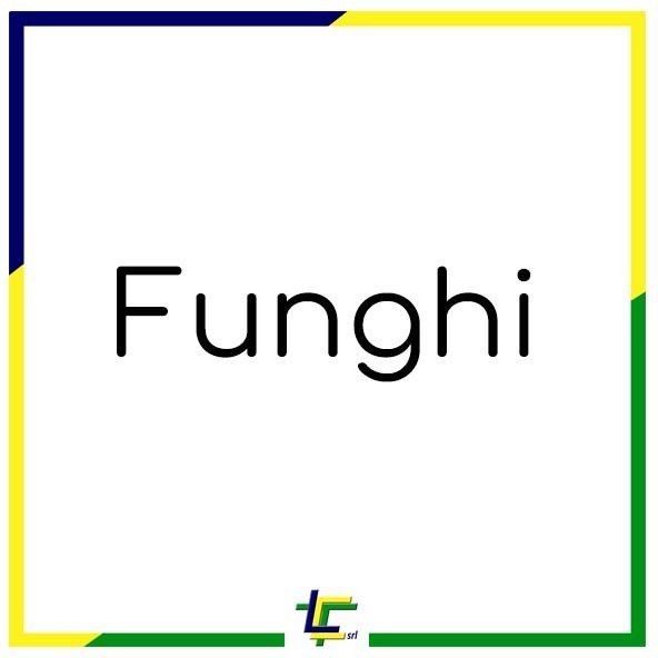 FUNGHI
