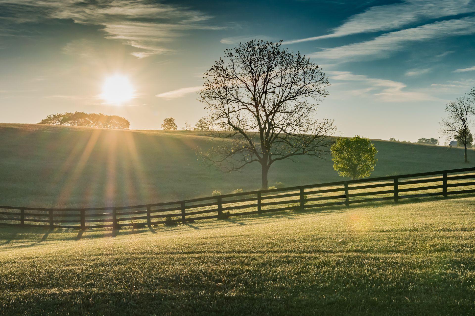 Sunrise over a grassy field with a wooden fence and trees; blue sky with clouds.