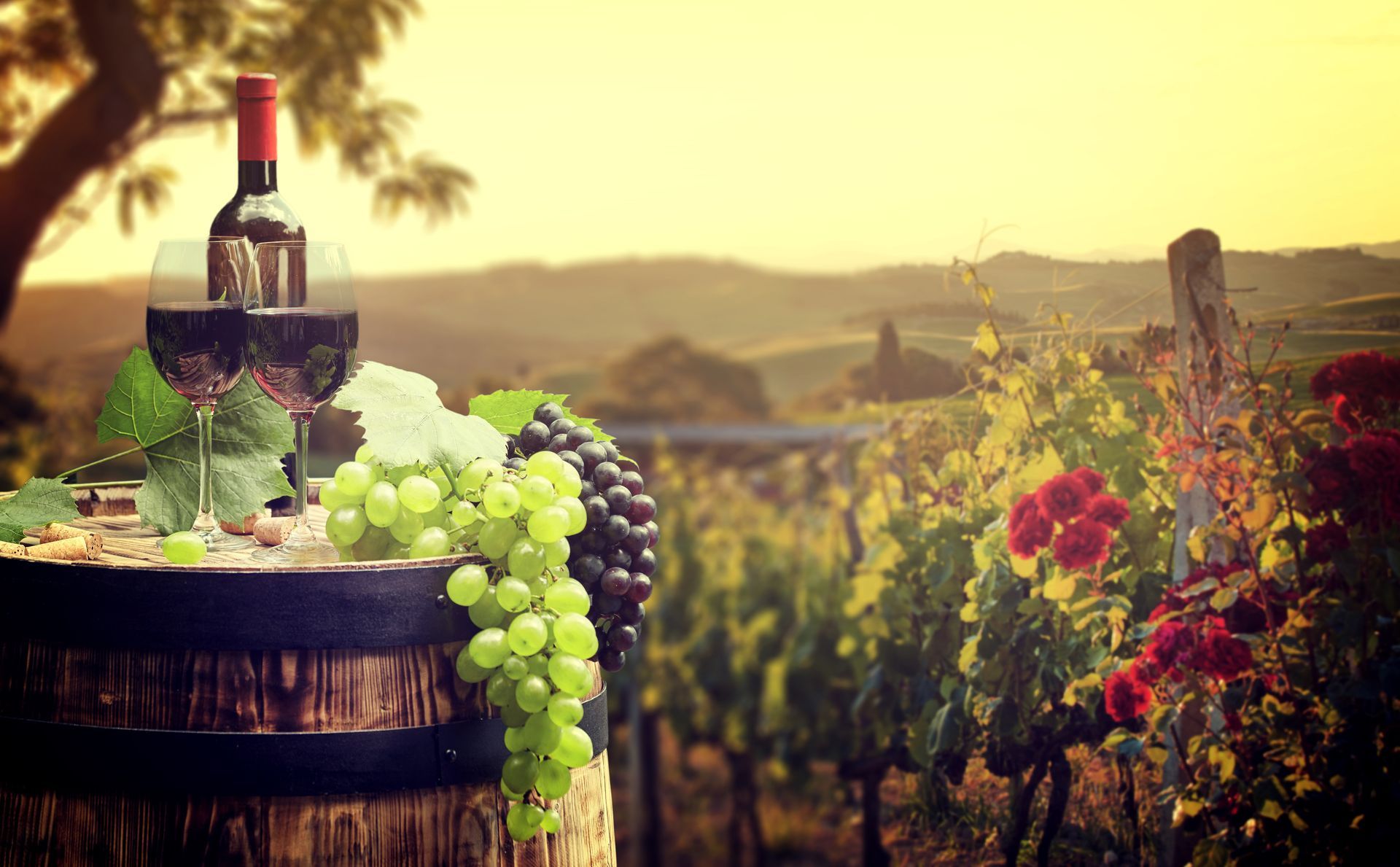 Wine bottle and glasses on a barrel with grapes, overlooking a vineyard at sunset.