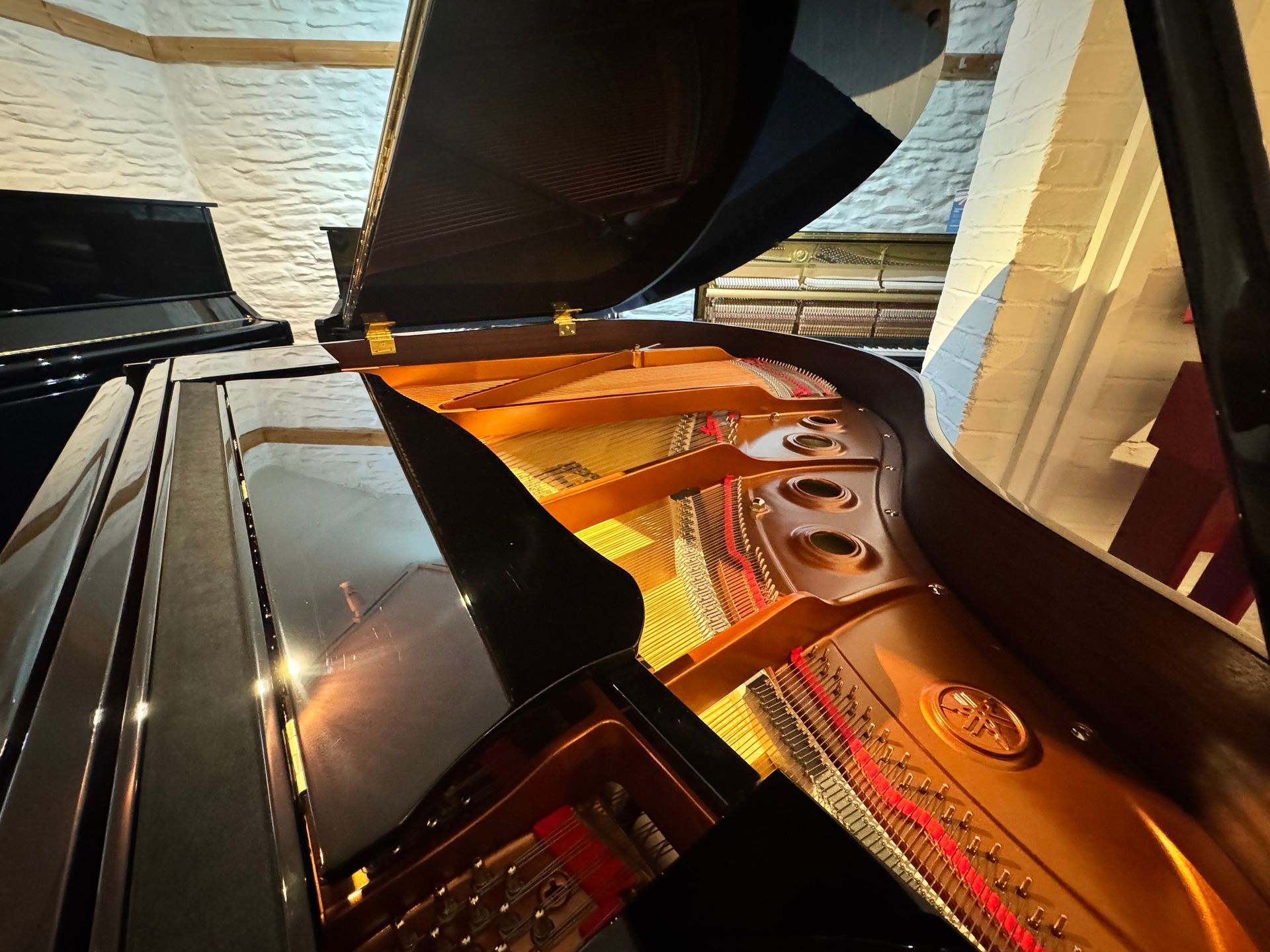 Black grand piano in a room with blue carpet, near a doorway and a glass display case.