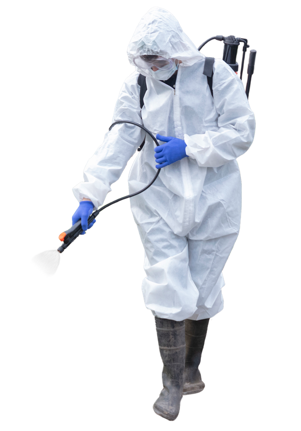 FUMIGACIONES PERALTA