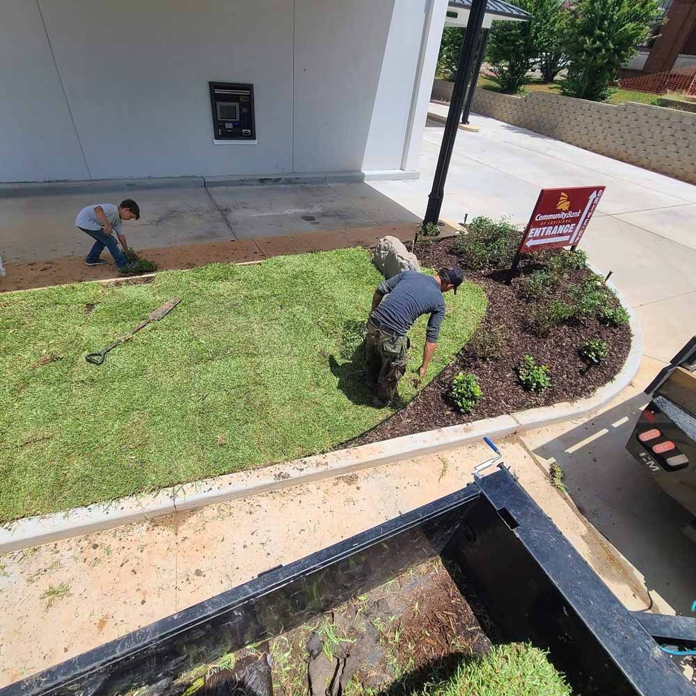 Men laying sod near a building; boy rakes. Green grass, brown soil, white structure.