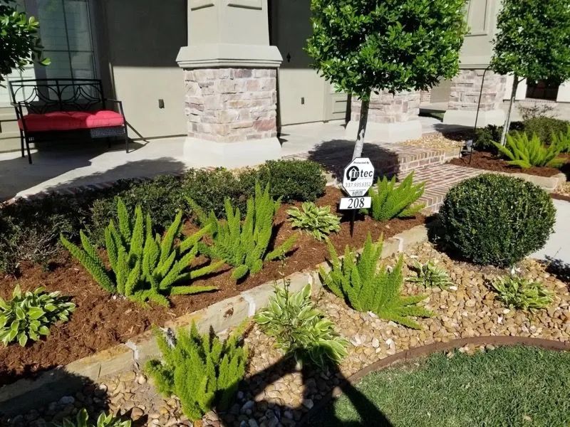 Front yard landscaping with various green plants and brown mulch, edged with rocks, by a house.