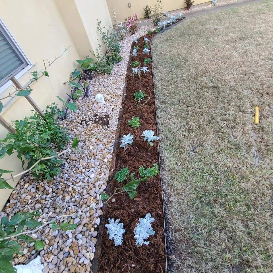 Narrow garden bed with mulch and plants alongside a beige building and grassy lawn.