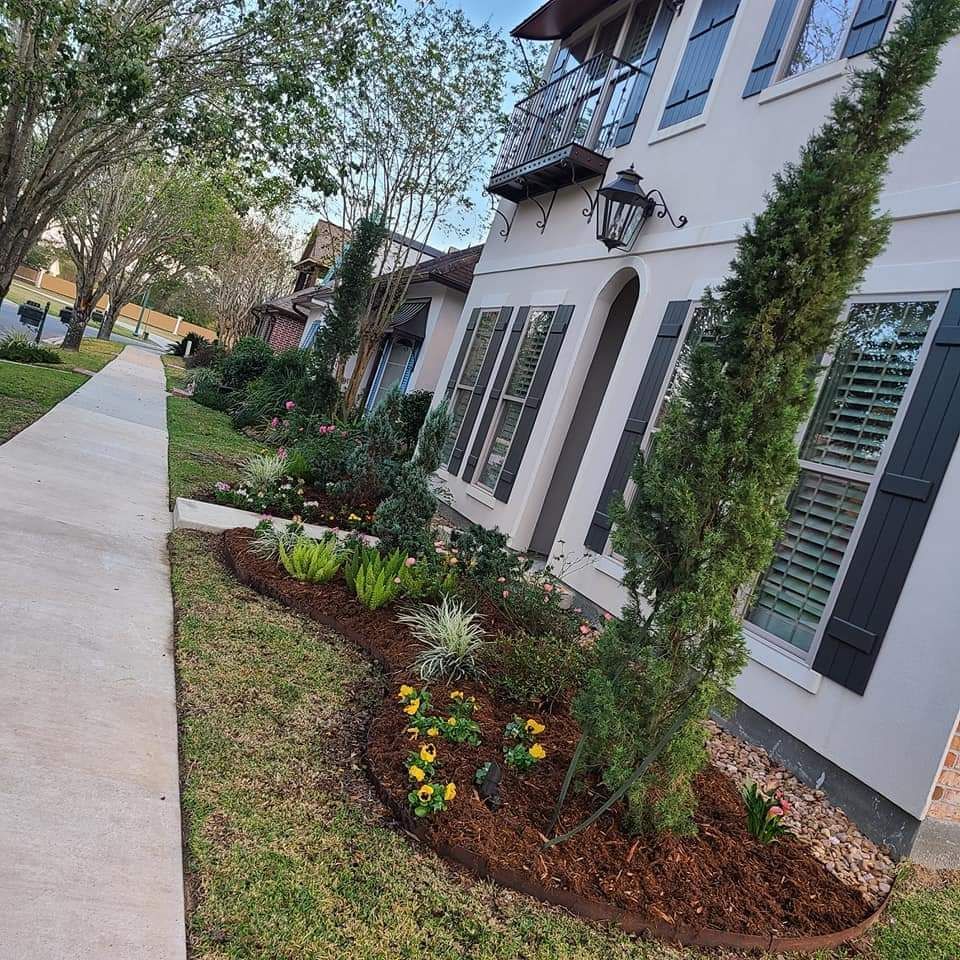 Landscaped yard with a sidewalk, house with shutters, and evergreen tree.