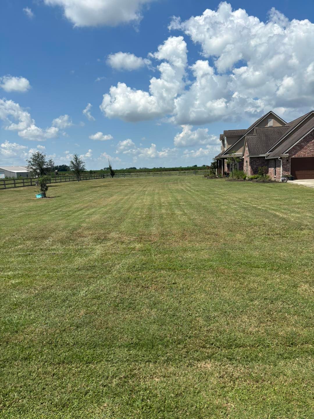 Green grassy yard with a house and blue sky with clouds.