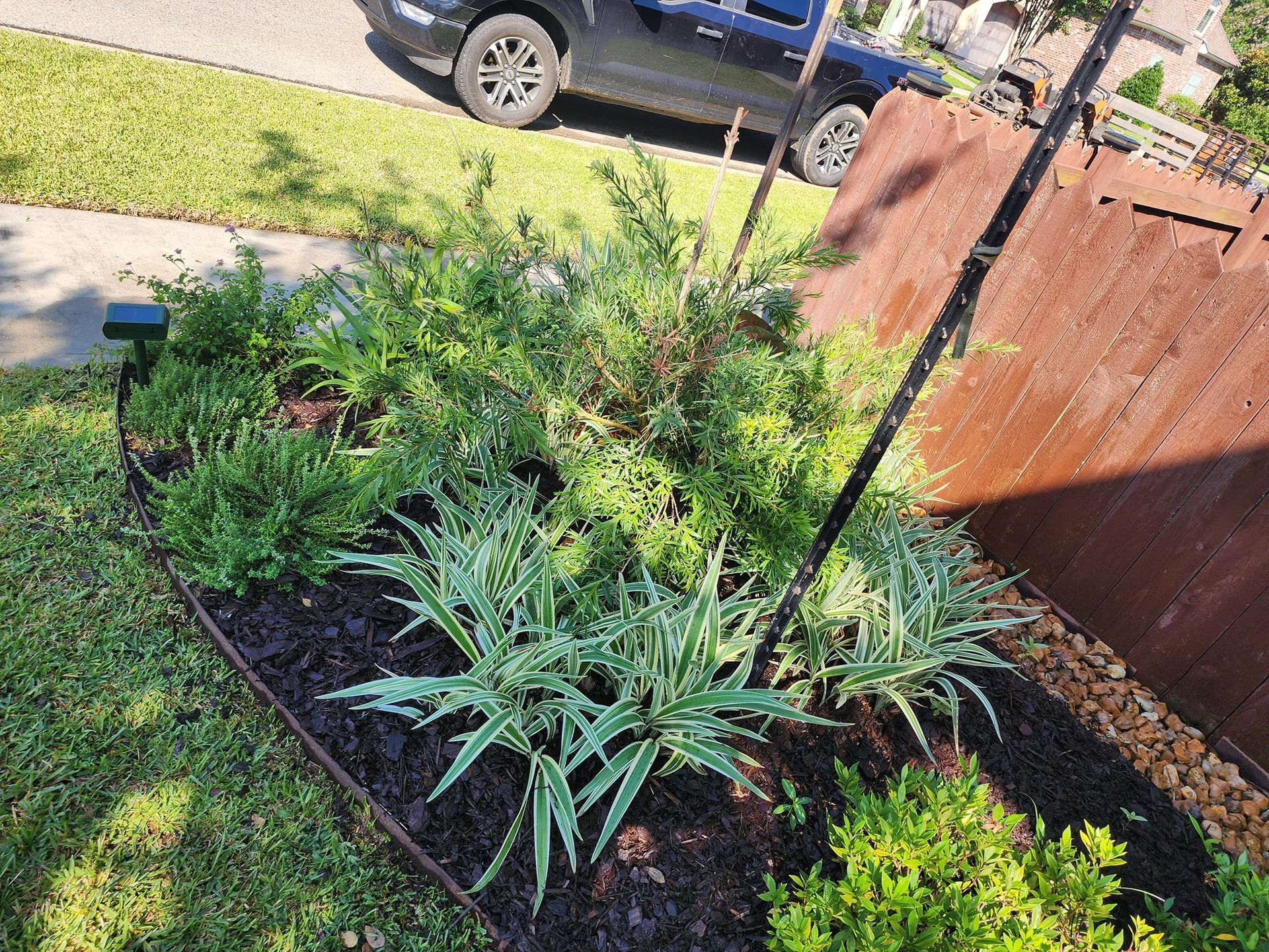 Flower bed with green plants, mulch, and brown metal edging next to grass and a rusted brown fence.