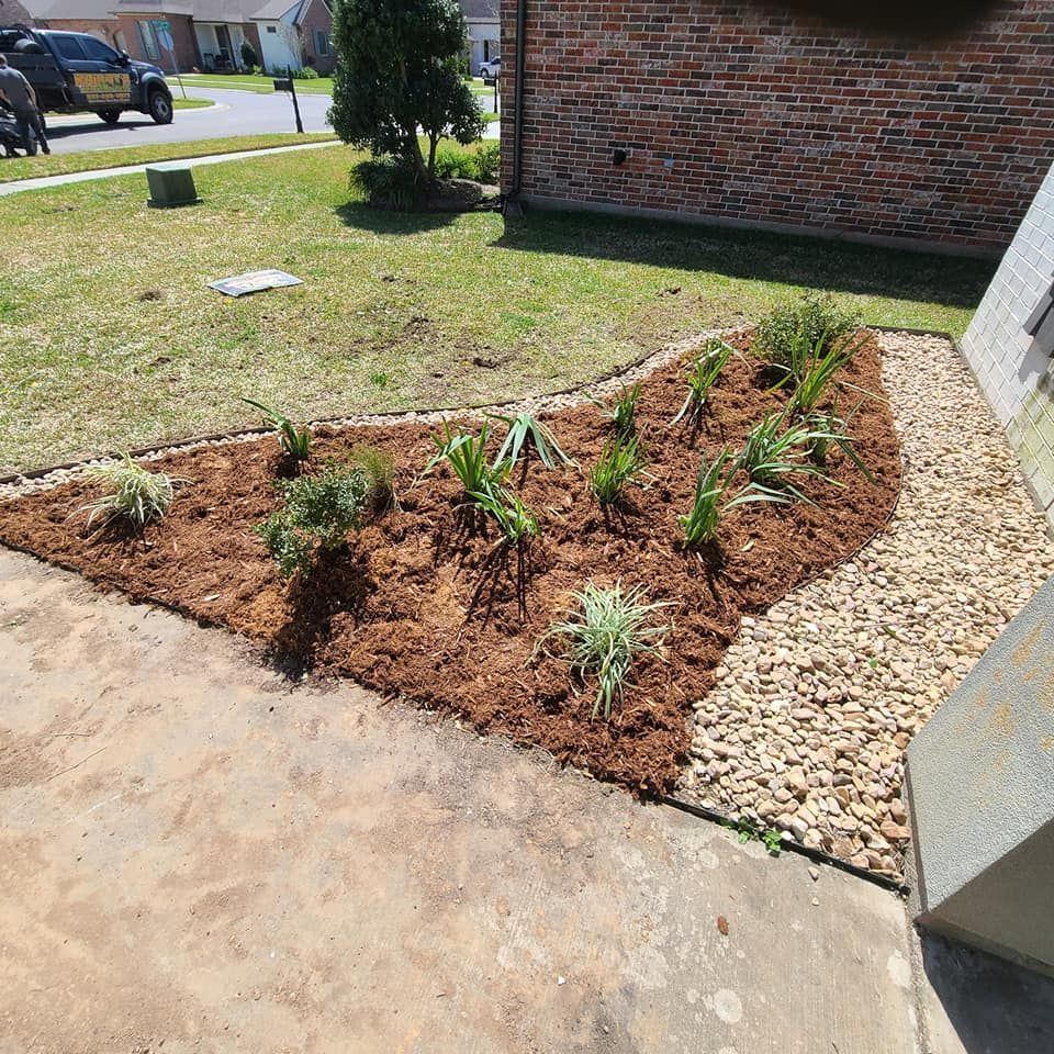 A mulch-covered garden bed with various plants, next to a rock border and a house.