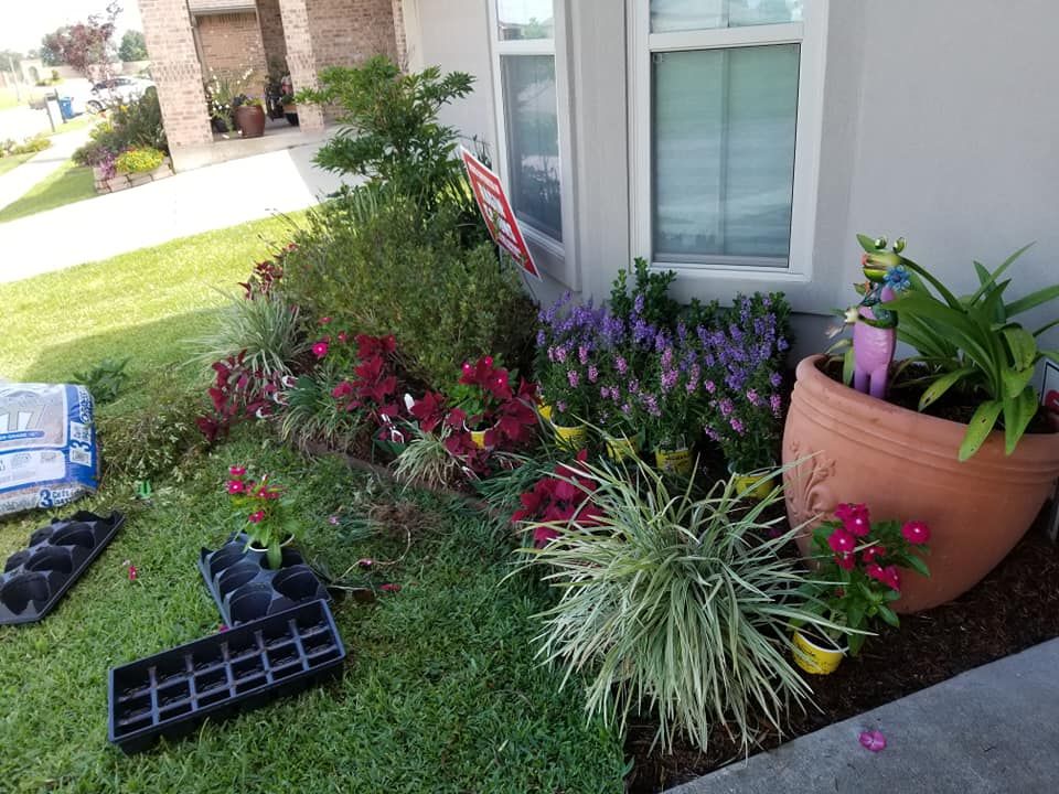 Flower bed with various plants, a large terracotta pot, and planting trays near a house.
