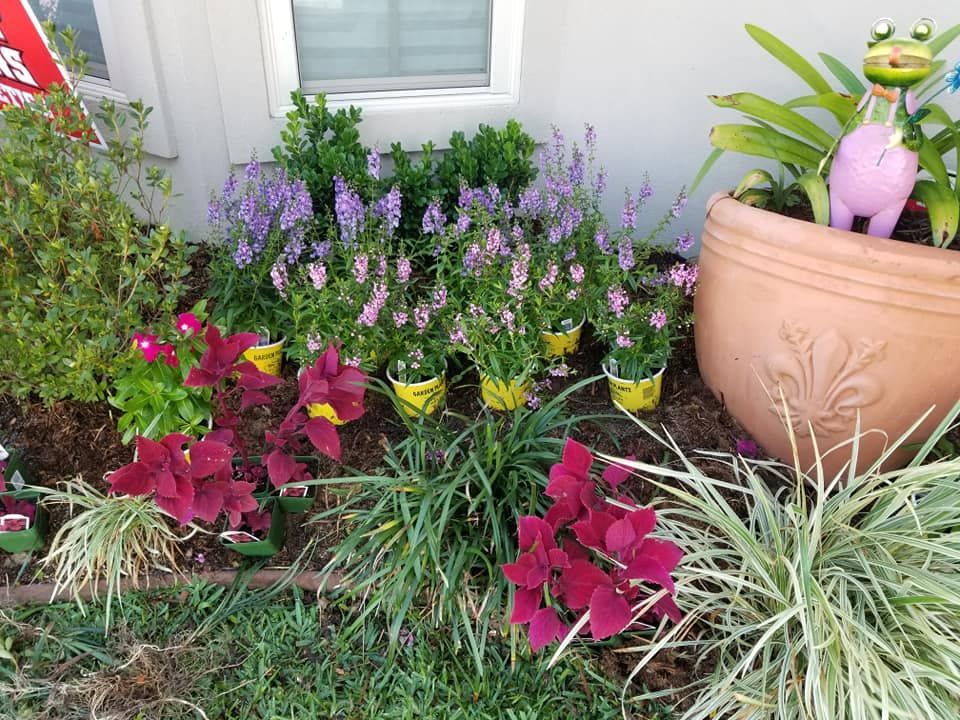 Colorful flower bed with purple, red, and green plants, next to a clay pot with a frog statue.