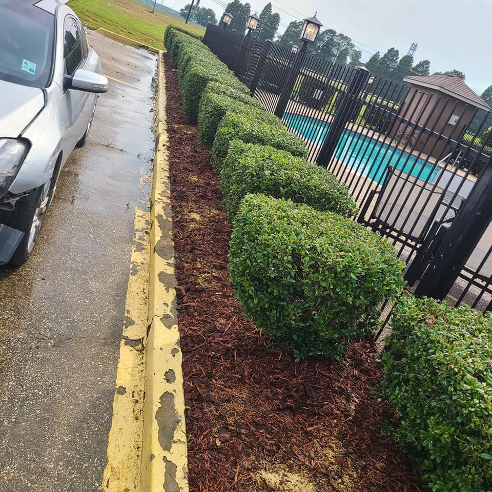 Row of trimmed green bushes along a walkway, with a black fence and pool in the background.