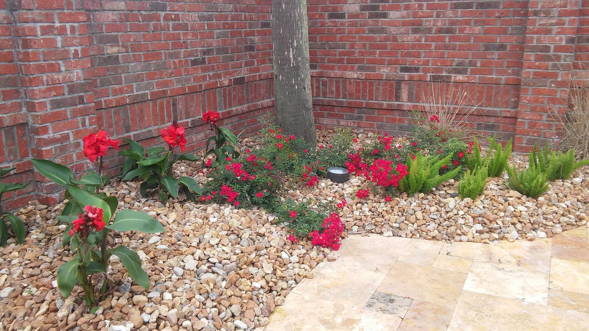 Red flowers and green shrubs in a rock garden bed against a brick wall, next to a tree and stone patio.