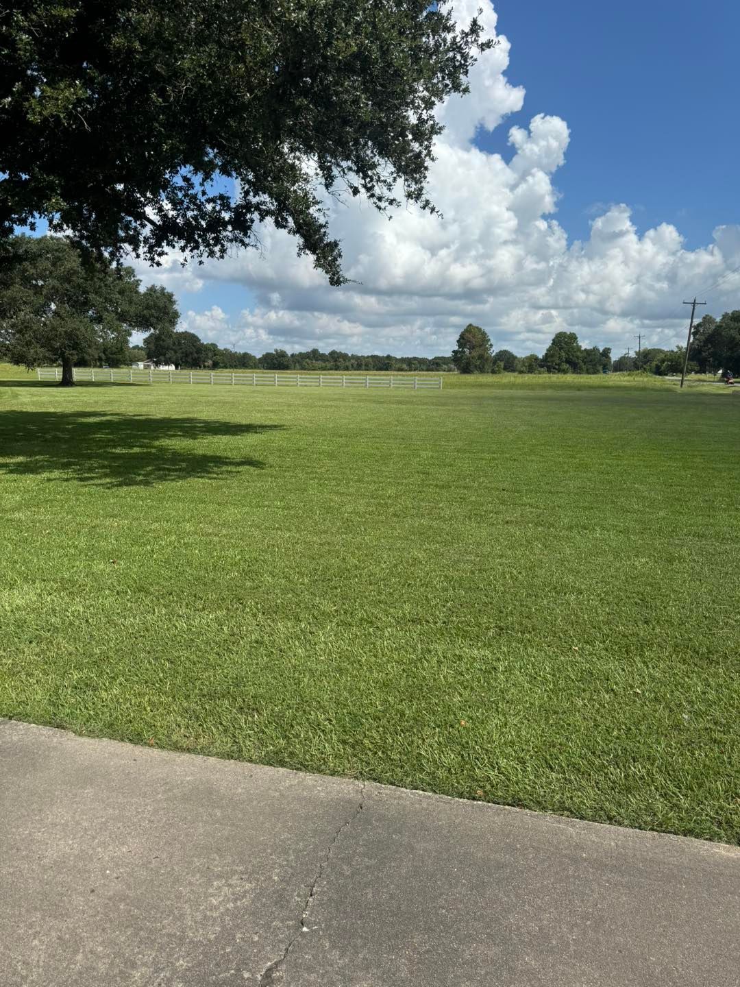 Green grassy field under a blue sky with fluffy clouds. A tree is on the left side, and a paved pathway is in the foreground.