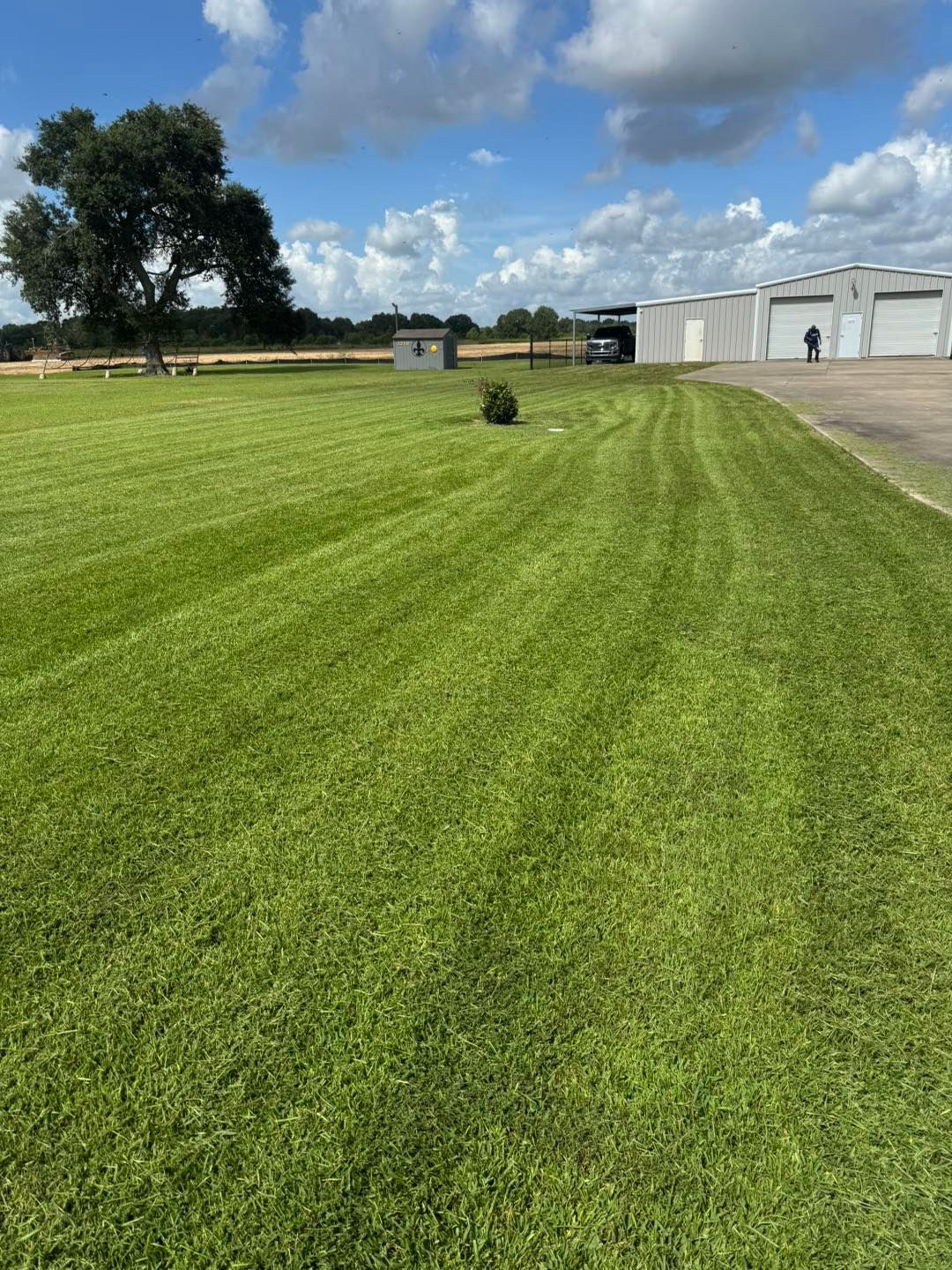 Lush green lawn with visible mowing stripes, building with garage doors, cloudy sky.
