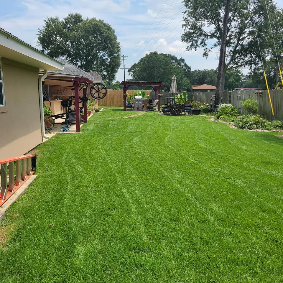 Lawn with freshly cut grass, view of a house, pergola, and backyard, on a sunny day.