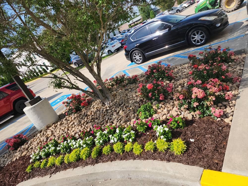 Landscaped flower bed with pink and white flowers, mulch, rocks, and a tree, next to a parking lot with cars.