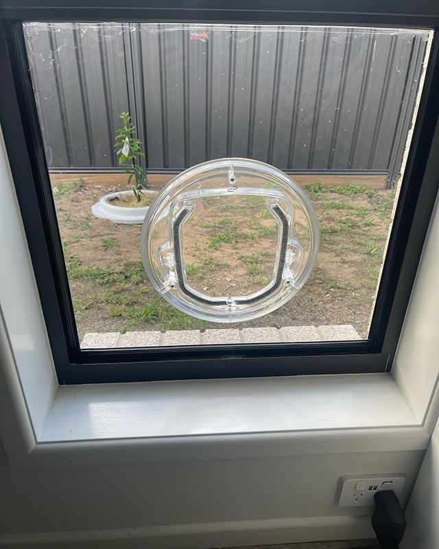 Picture of a Window With a Cat Door on it — Moore Park Beach Glass & Security
