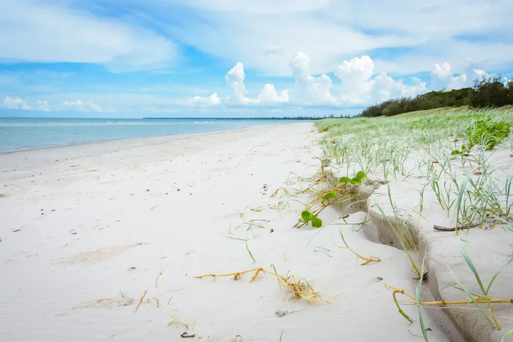 White sand beach under a blue sky with clouds. Green plants grow along the edge. — Moore Park Beach Glass & Security in Woodgate, QLD