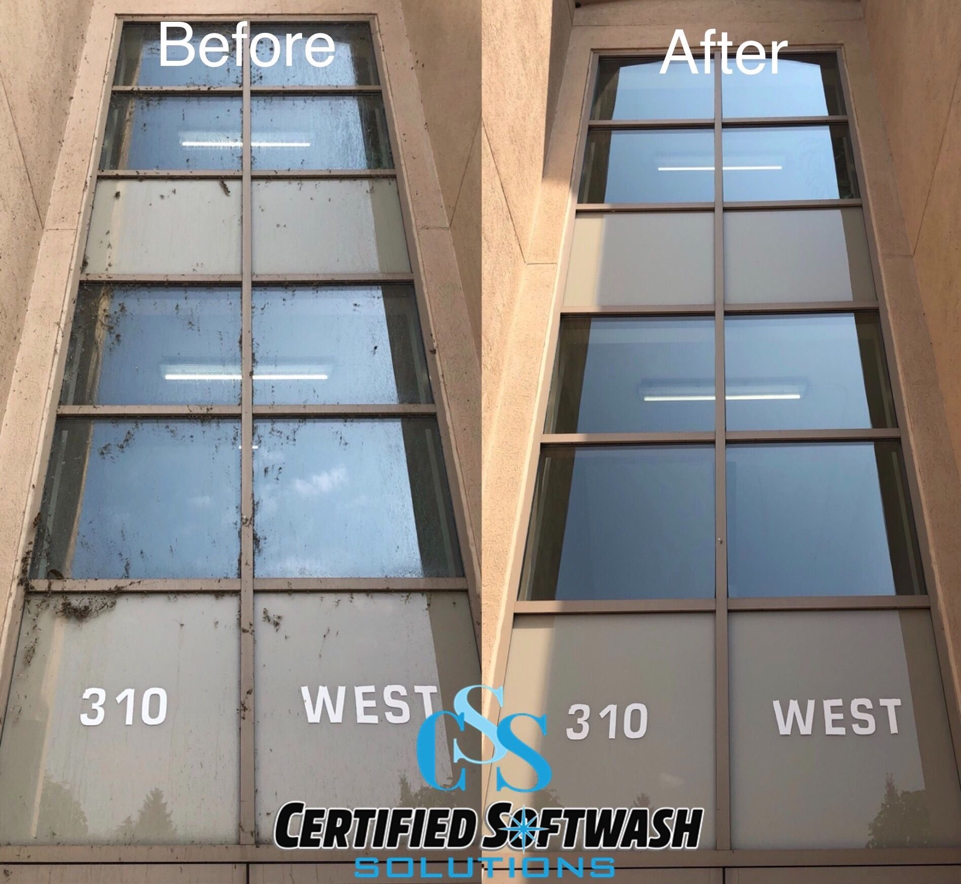 window washing windsor