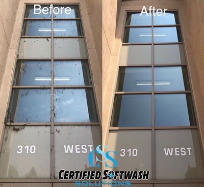 window washing windsor