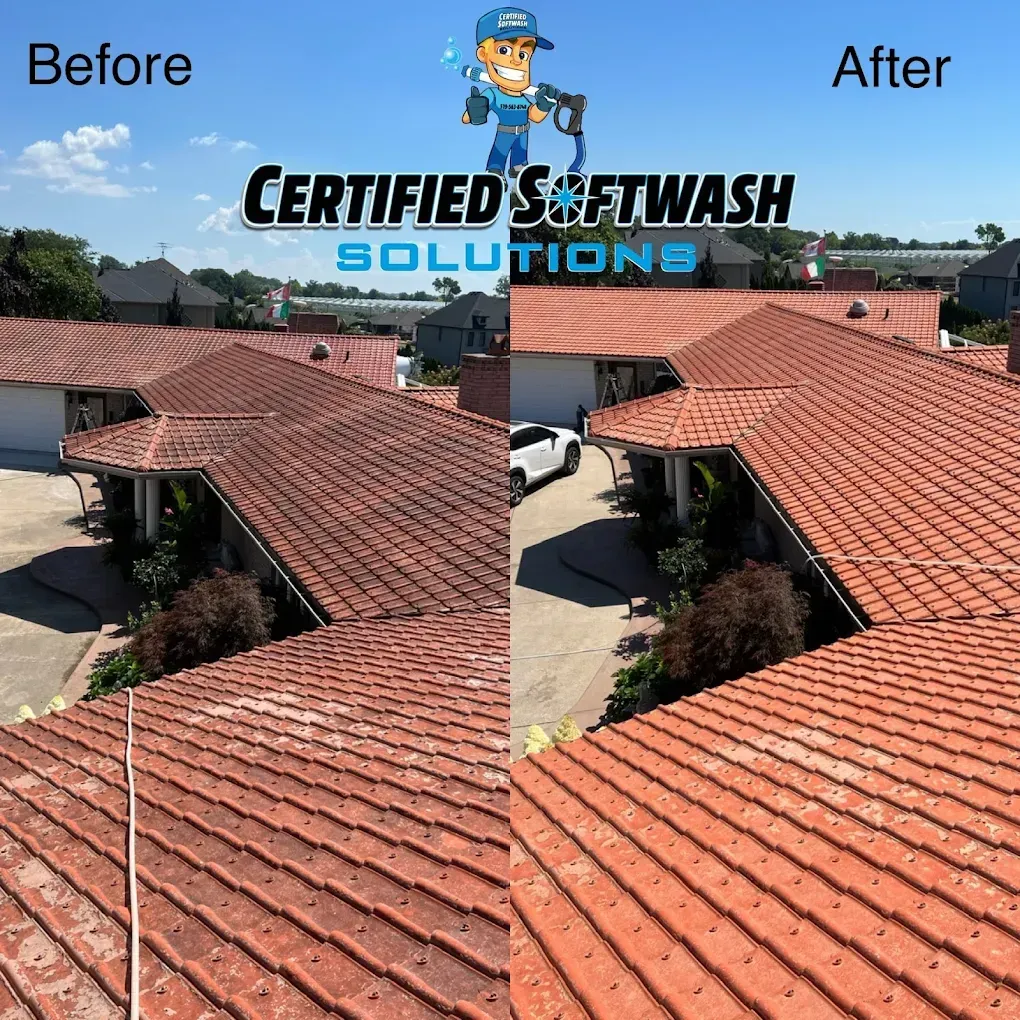 roof washing services