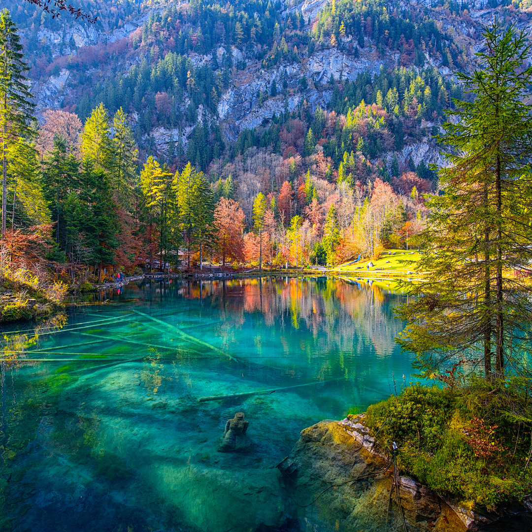 image of beautiful lake and trees
